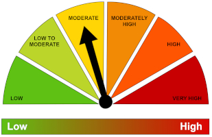 Riskometer Moderate