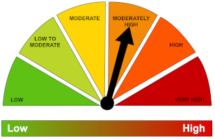 Riskometer Moderately High